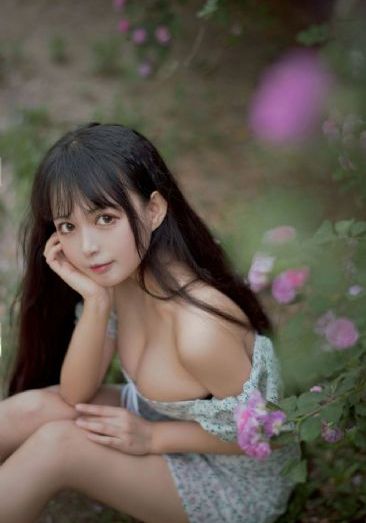 a极片