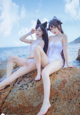 与卿书电视剧免费观看完整版