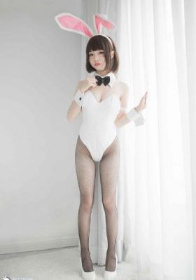 岁岁青莲