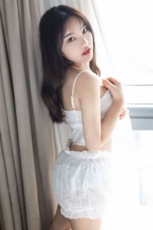 王昭君a级艳片bd