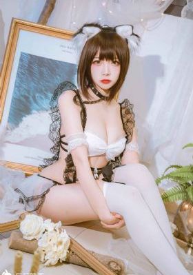 巡回检察组电视剧
