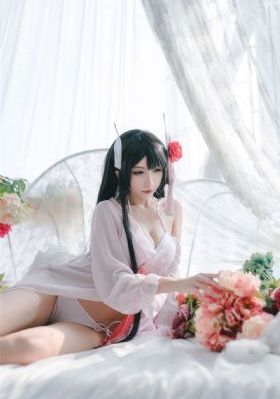 淑女的品格
